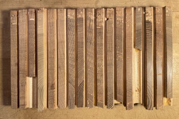 Dendrochronology Samples
